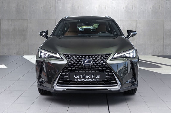 Lexus UX300e 9 of 25