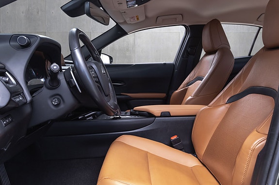 Lexus UX300e 19 of 25