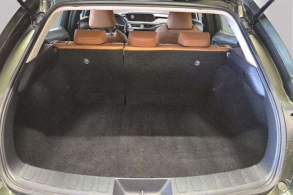 Lexus UX300e 5 of 25