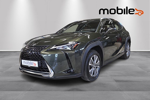 Lexus UX300e 19 of 25