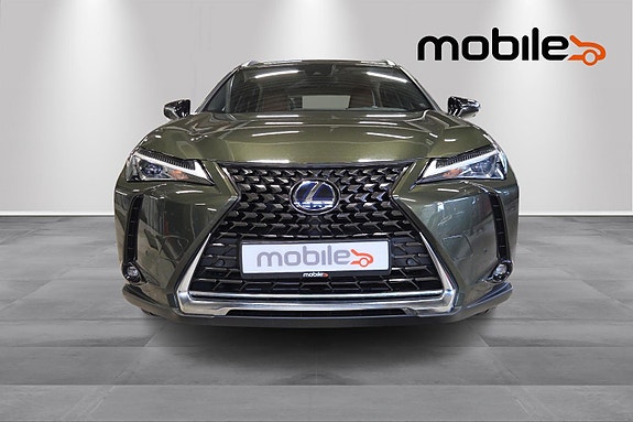 Lexus UX300e 18 of 25