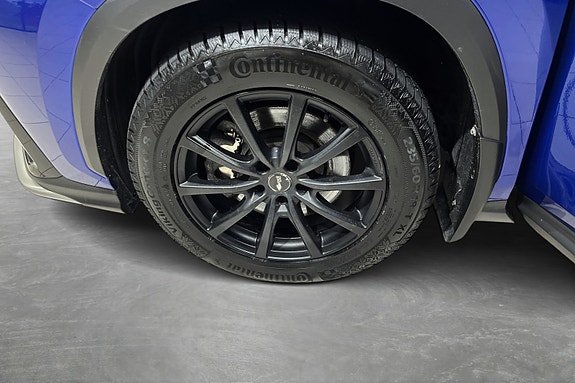 Lexus NX450h 22 of 23