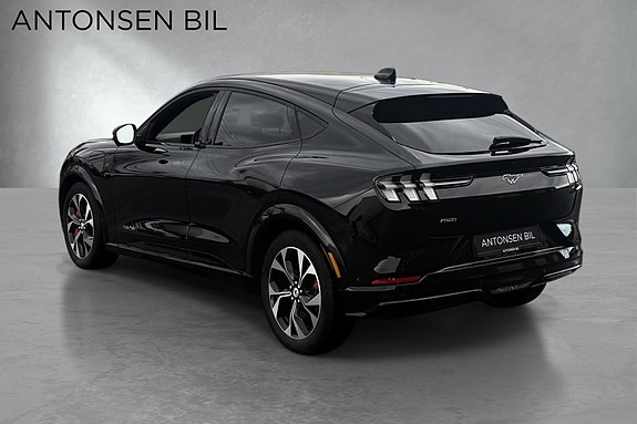 Ford Mustang Mach-E 5 of 18