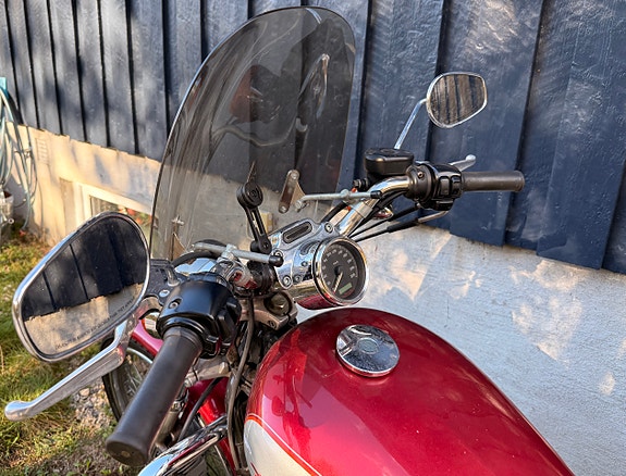 Harley-Davidson XL 883C Custom 15 of 19