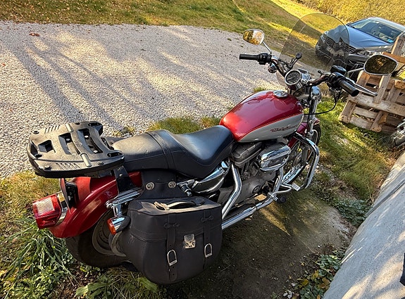 Harley-Davidson XL 883C Custom 13 of 19