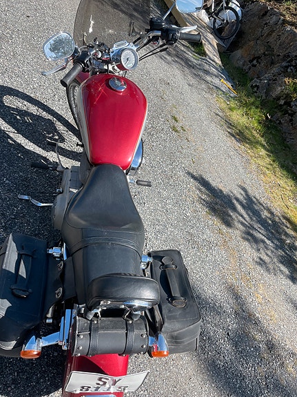 Harley-Davidson XL 883C Custom 7 of 19
