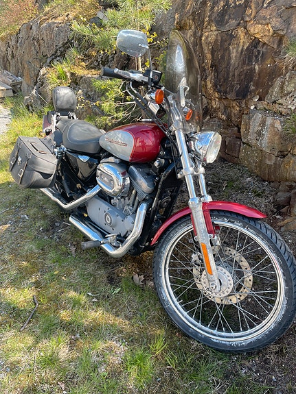 Harley-Davidson XL 883C Custom 5 of 19