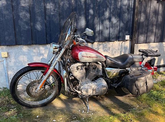 Harley-Davidson XL 883C Custom 19 of 19