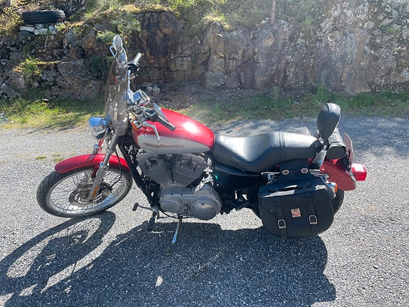Harley-Davidson XL 883C Custom 4 of 19