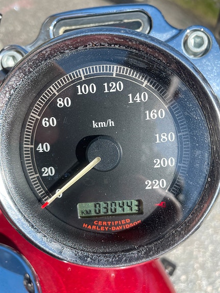 Harley-Davidson XL 883C Custom 8 of 19