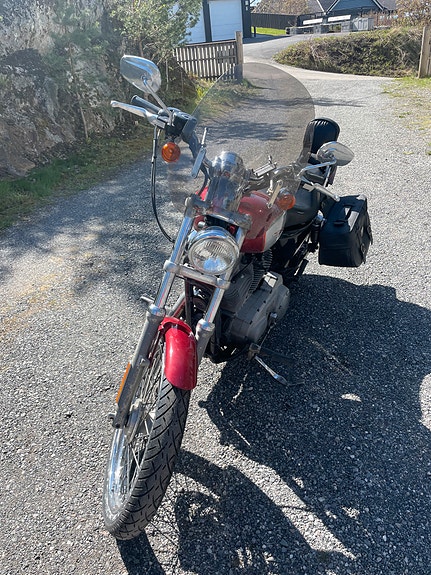 Harley-Davidson XL 883C Custom 9 of 19