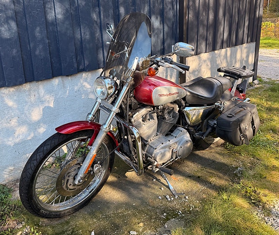 Harley-Davidson XL 883C Custom 18 of 19