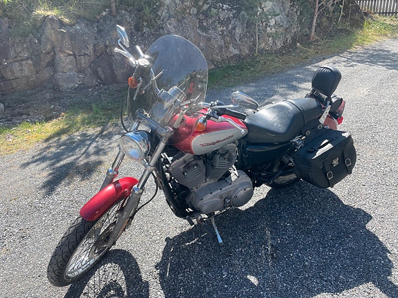 Harley-Davidson XL 883C Custom 10 of 19
