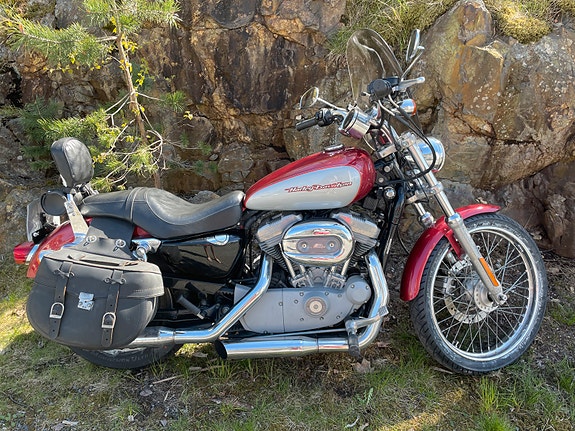 Harley-Davidson XL 883C Custom 2 of 19