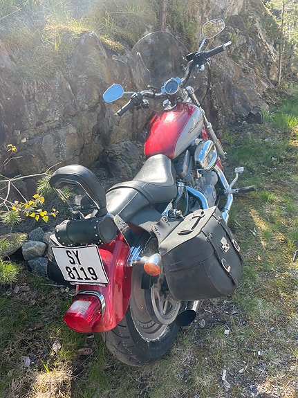 Harley-Davidson XL 883C Custom 3 of 19