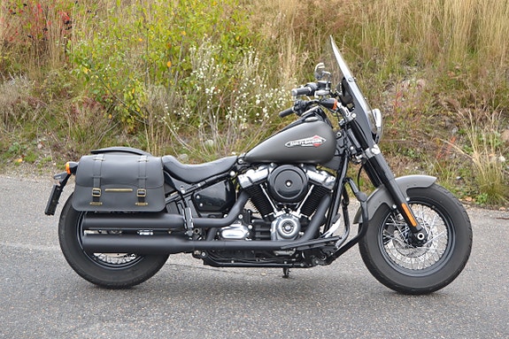 Harley-Davidson FLSL Slim 8 of 26