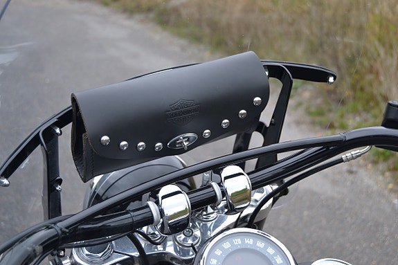 Harley-Davidson FLSL Slim 20 of 26