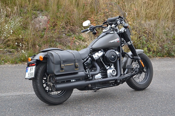Harley-Davidson FLSL Slim 12 of 26