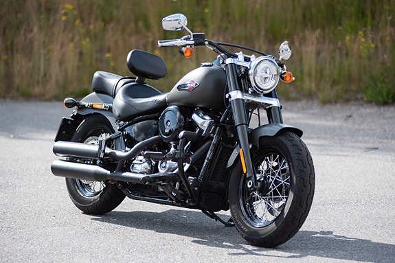 Harley-Davidson FLSL Slim 6 of 26
