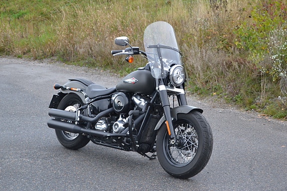 Harley-Davidson FLSL Slim 4 of 26