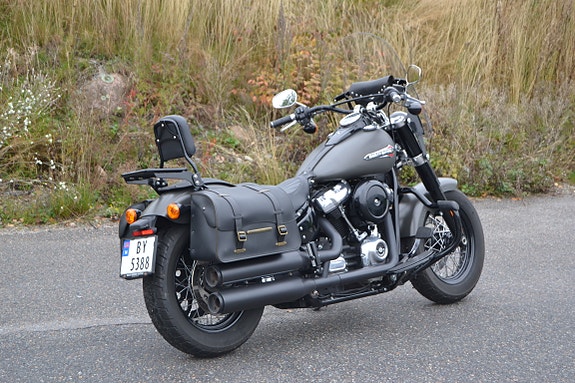 Harley-Davidson FLSL Slim 11 of 26