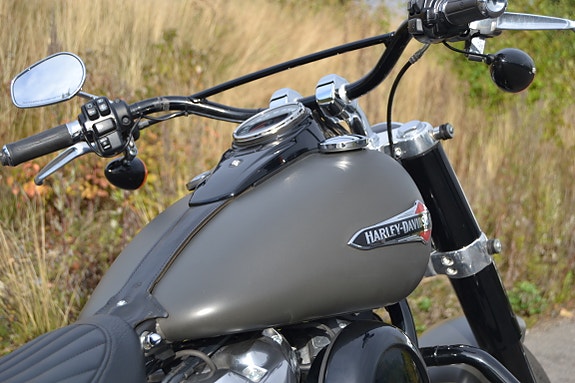 Harley-Davidson FLSL Slim 22 of 26