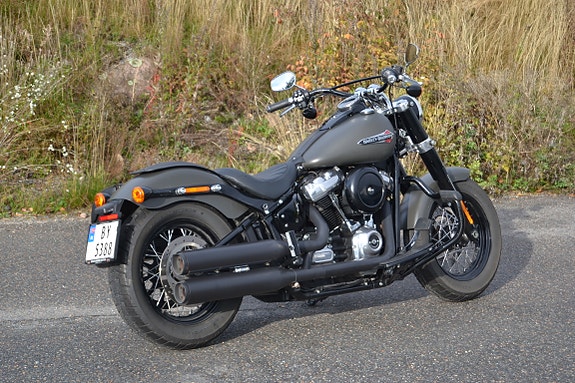 Harley-Davidson FLSL Slim 14 of 26