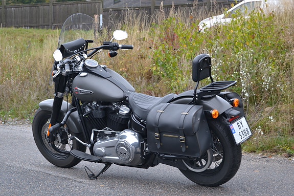 Harley-Davidson FLSL Slim 16 of 26