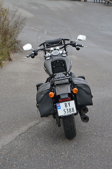 Harley-Davidson FLSL Slim 15 of 26