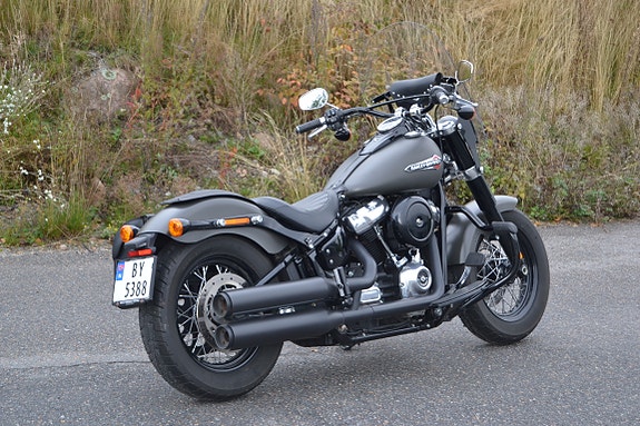 Harley-Davidson FLSL Slim 13 of 26