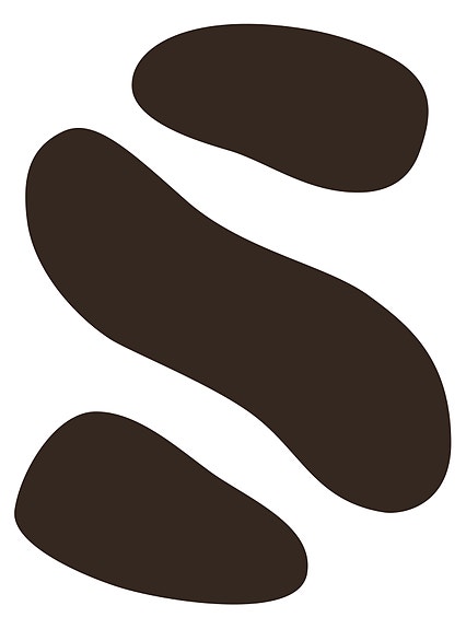 Squeeze AS logo