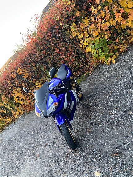 Yamaha TZR 50 5 of 6