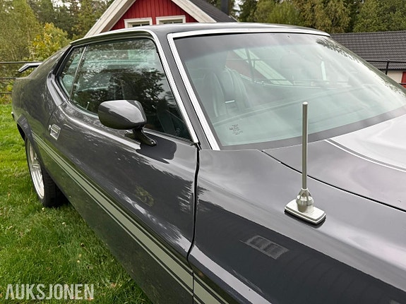 Ford Mustang 21 of 30