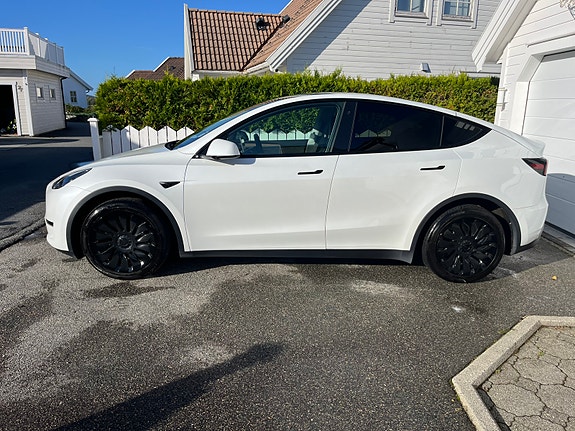 Tesla Model Y 3 of 15