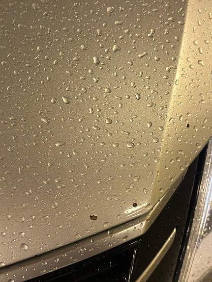 Volkswagen Passat Alltrack 8 of 30
