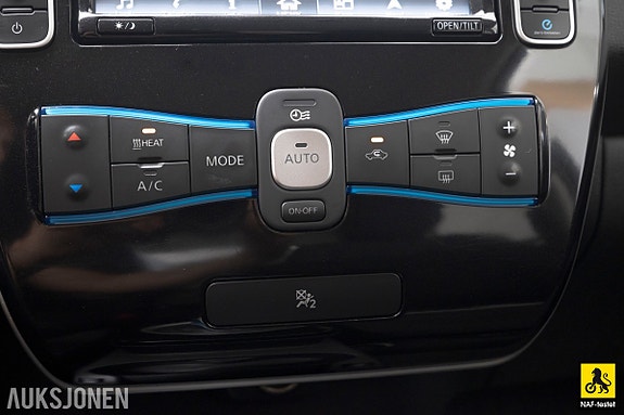 Nissan Leaf 19 of 30