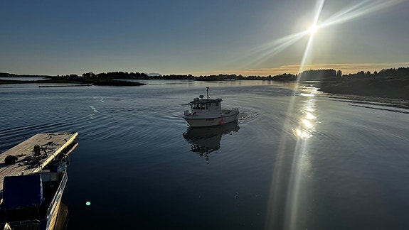 NYHET! M/S JANN MAGNUS - LF5215 3 of 30