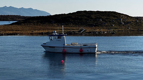 NYHET! M/S JANN MAGNUS - LF5215 2 of 30