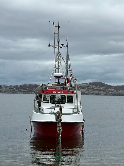 NYHET! M/S ADA MARIE - LM7988 5 of 30