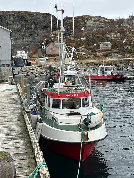 NYHET! M/S ADA MARIE - LM7988 3 of 30