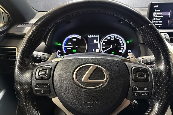 Lexus NX300h 10 of 25