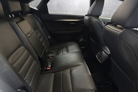 Lexus NX300h 20 of 25