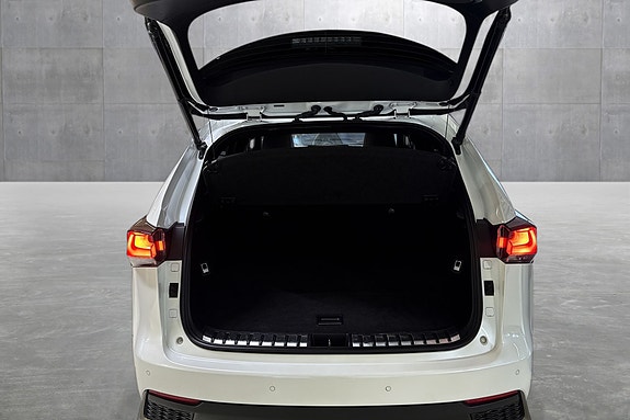 Lexus NX300h 22 of 25