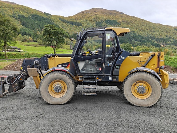 Cat TH417C 5 of 5