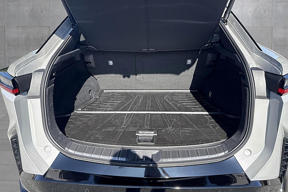 Lexus RZ550e 29 of 30