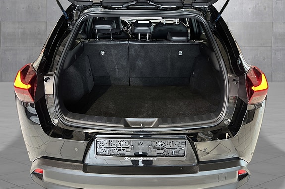 Lexus UX300e 18 of 20