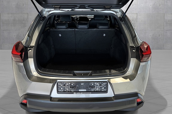 Lexus UX300e 18 of 20