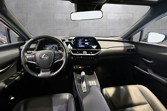 Lexus UX300e 10 of 20