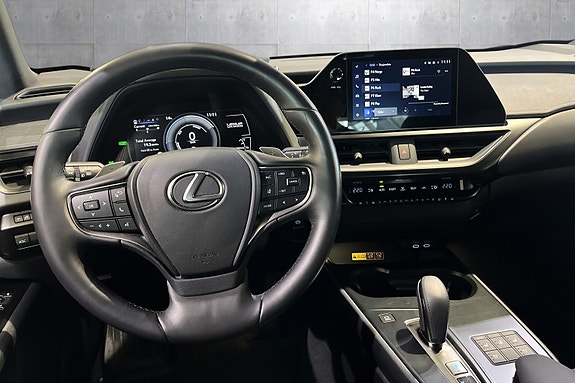 Lexus UX300e 11 of 20