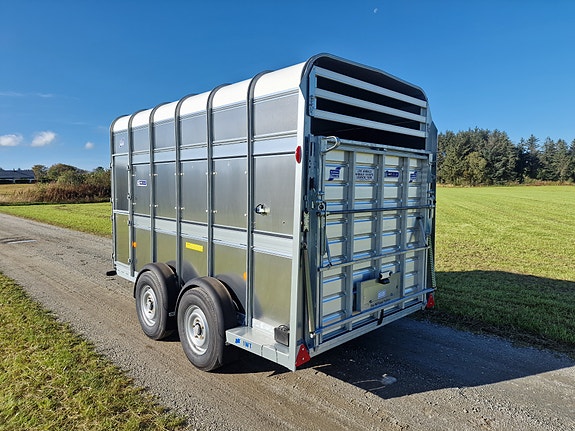Ifor Williams TA510 12×7 livdyrhenger 8 of 14